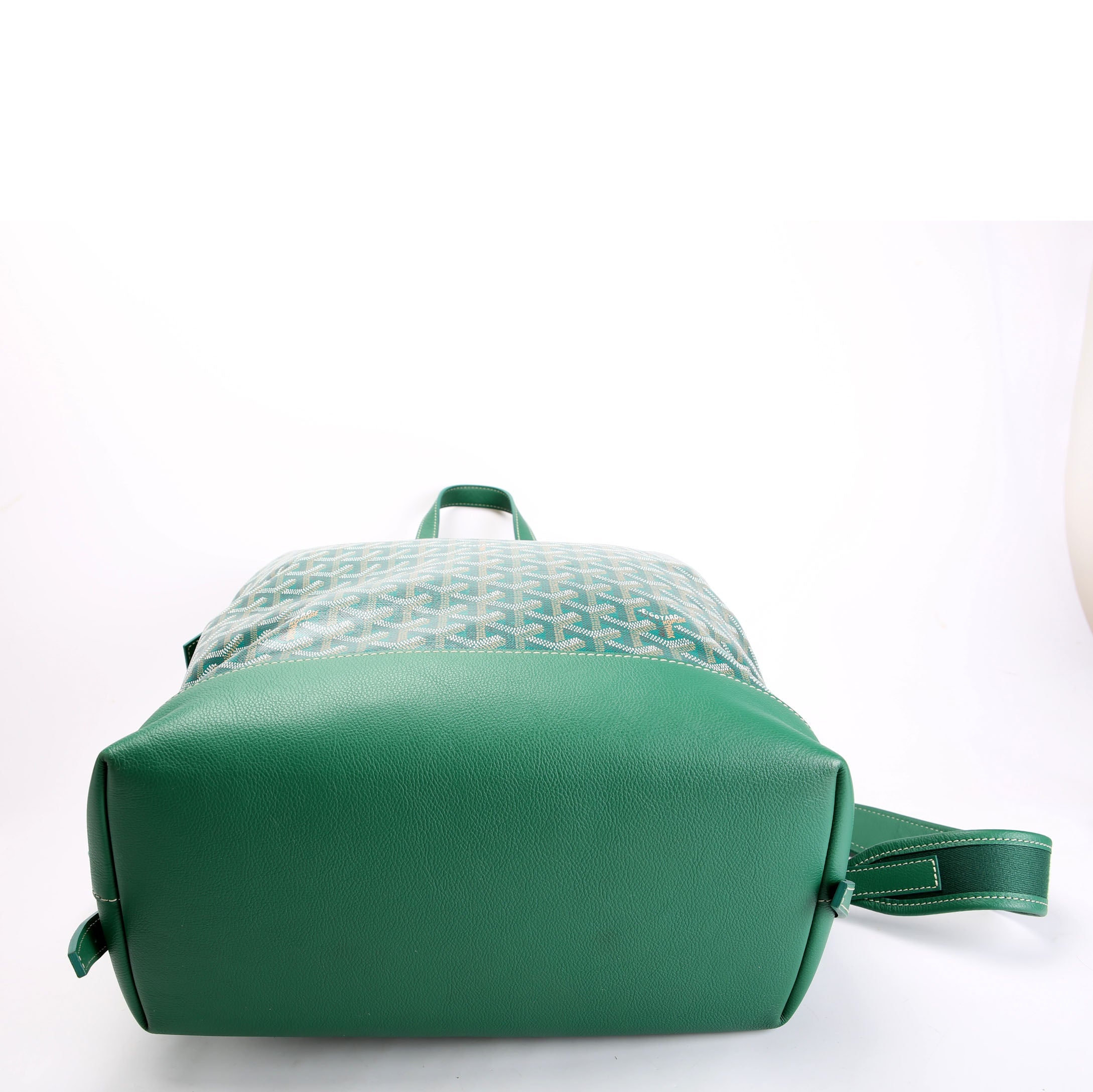 Cisalpin Goyardine Backpack Green