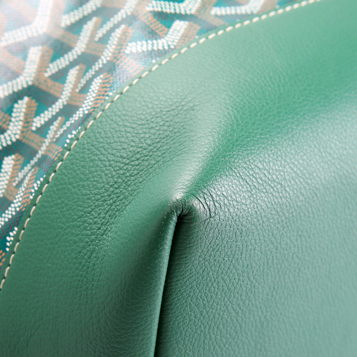 Cisalpin Goyardine Backpack Green