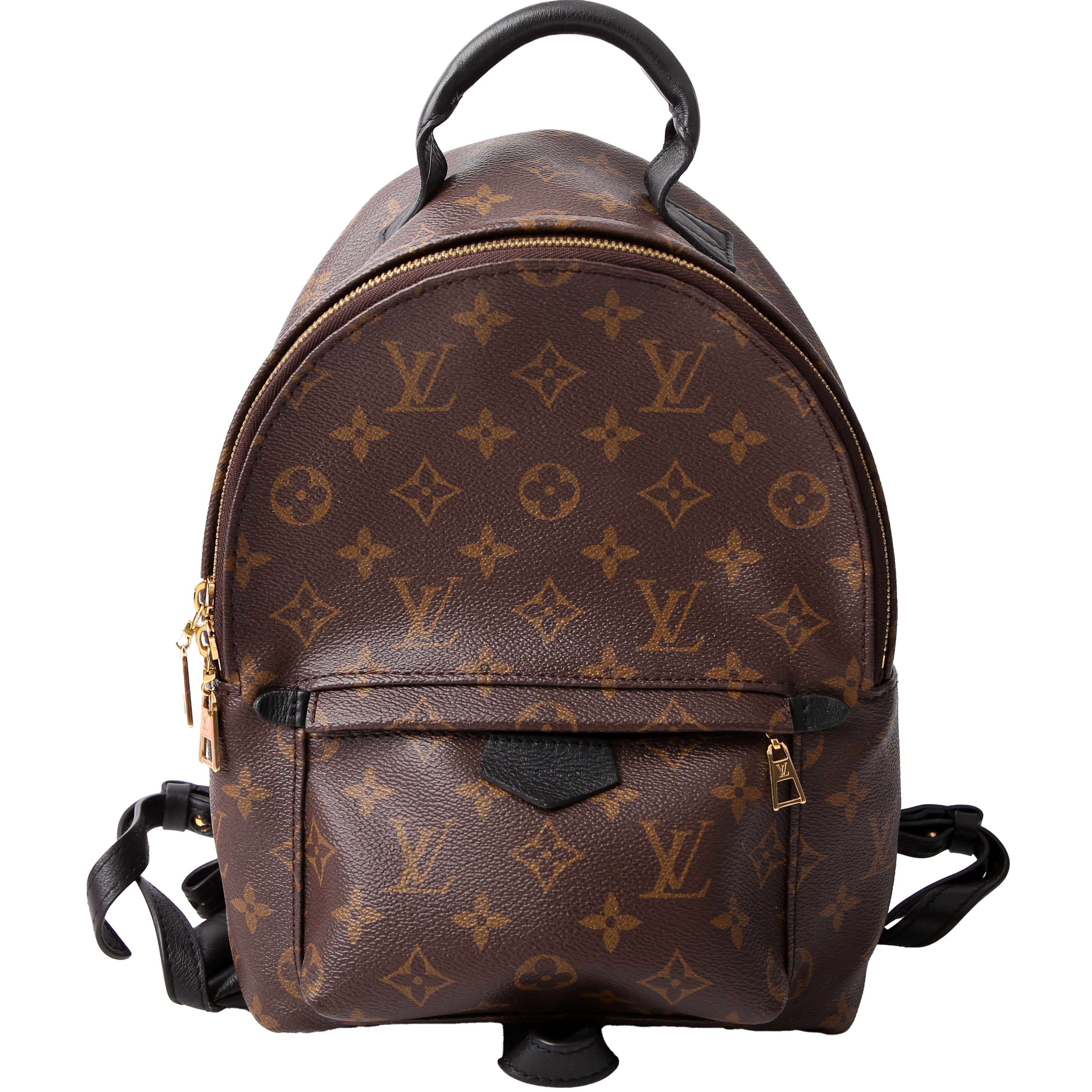 Palm Springs Backpack PM NM Monogram