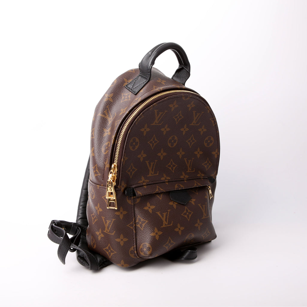 Palm Springs Backpack PM NM Monogram