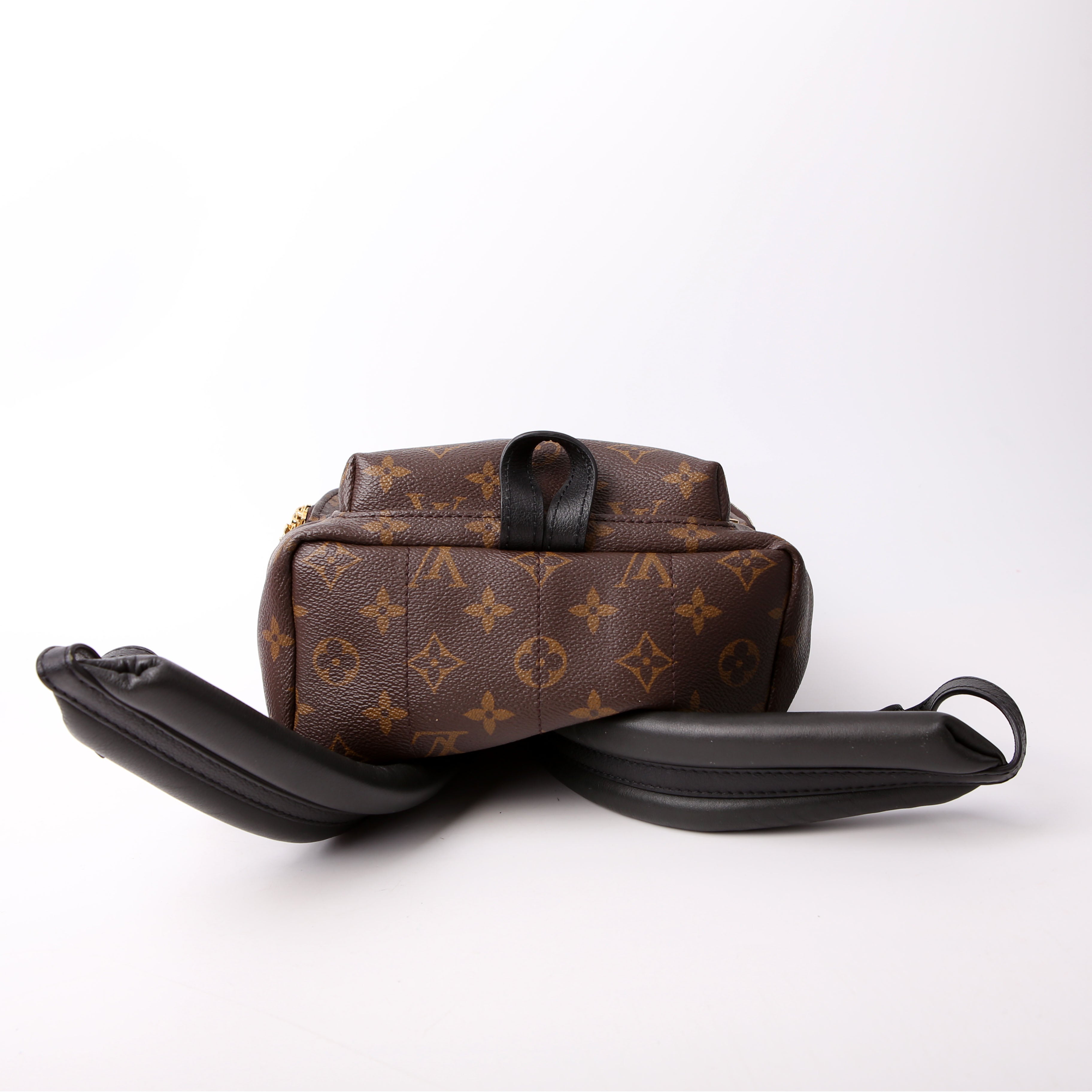 Palm Springs Backpack PM NM Monogram