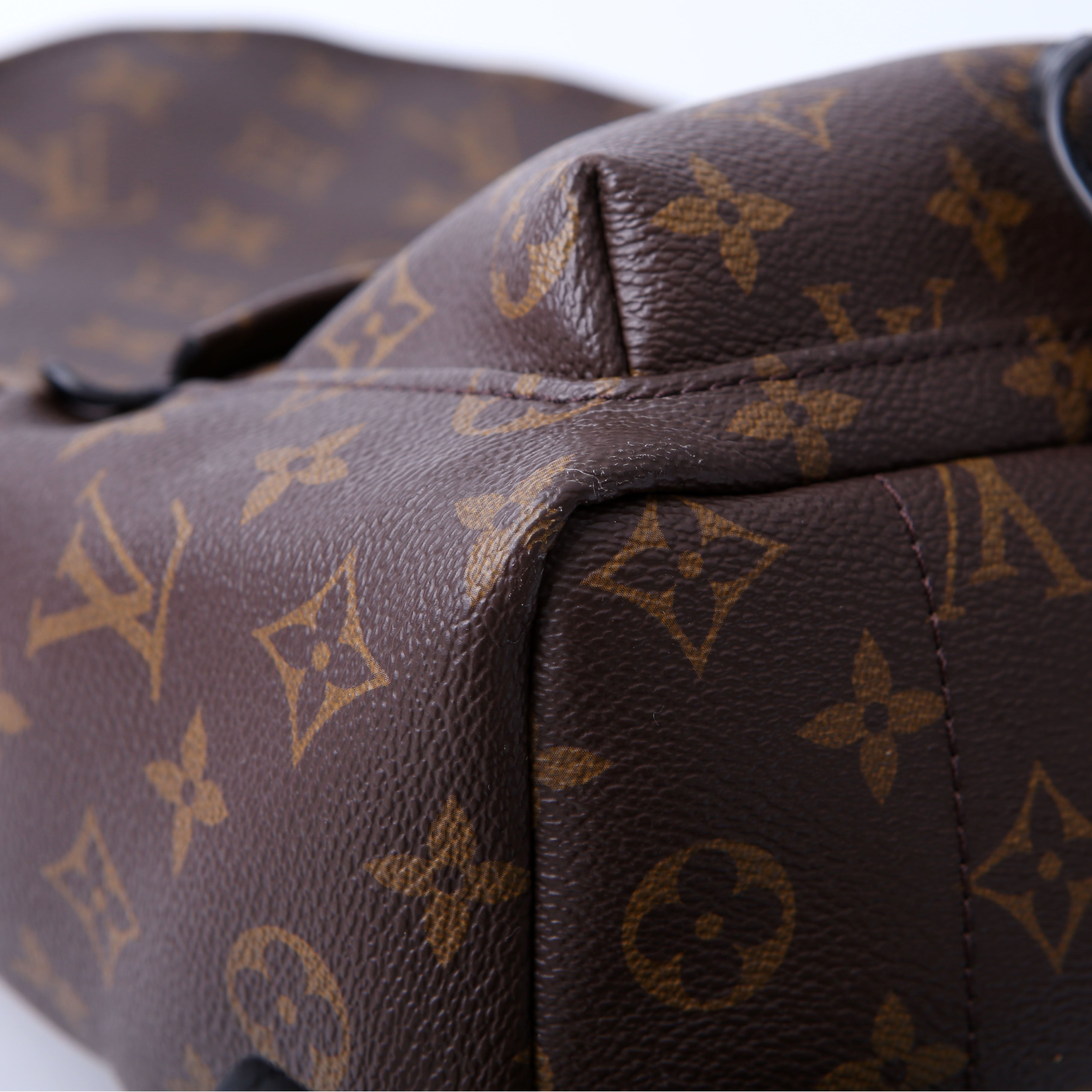 Palm Springs Backpack PM NM Monogram