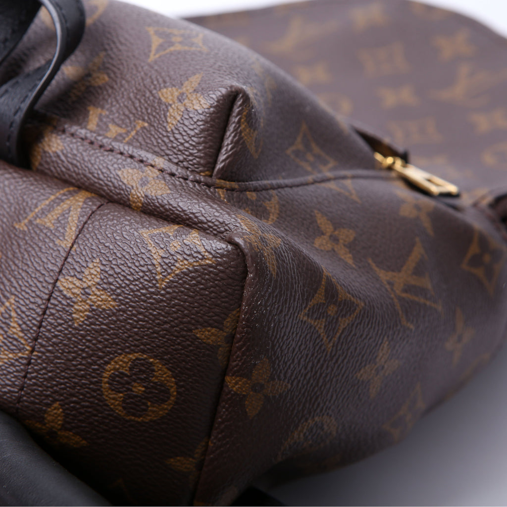 Palm Springs Backpack PM NM Monogram