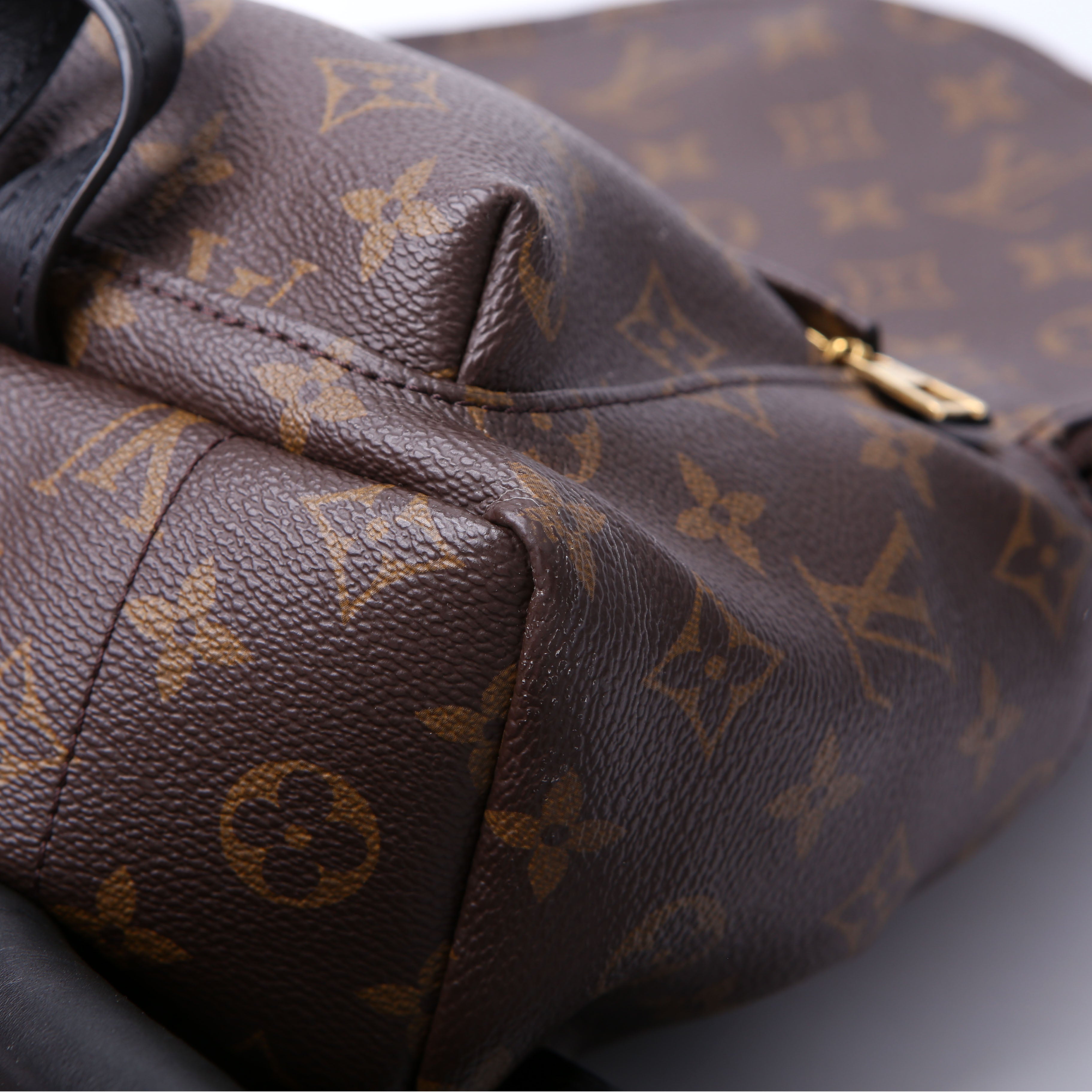 Palm Springs Backpack PM NM Monogram