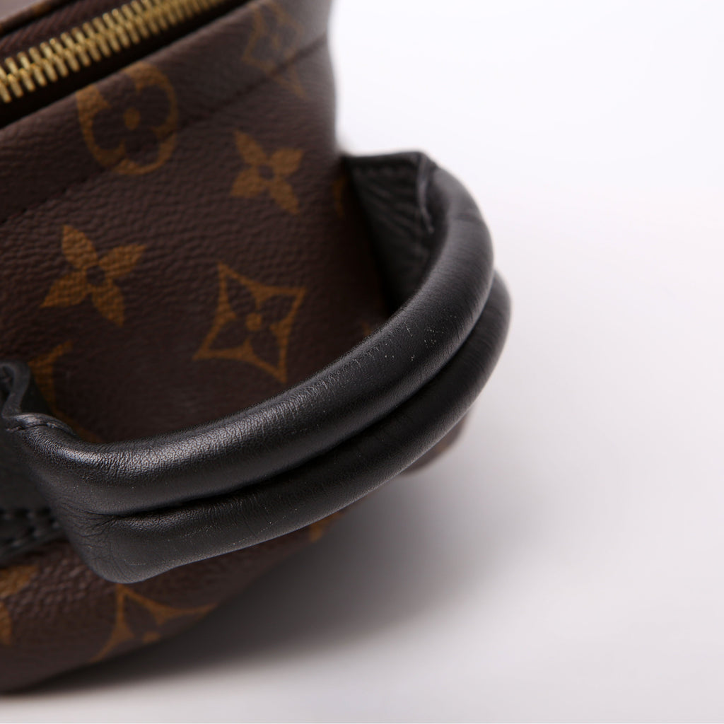 Palm Springs Backpack PM NM Monogram