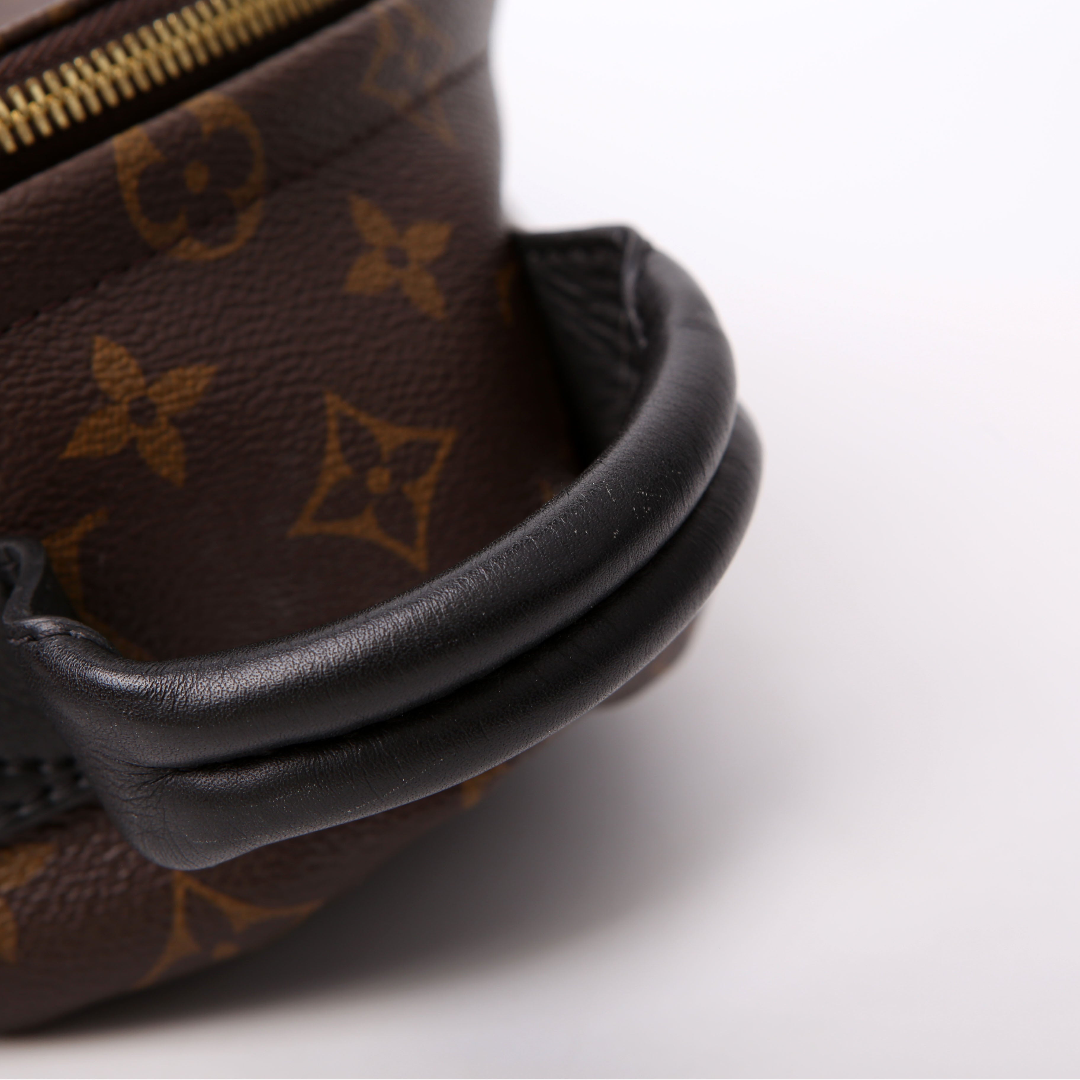Palm Springs Backpack PM NM Monogram