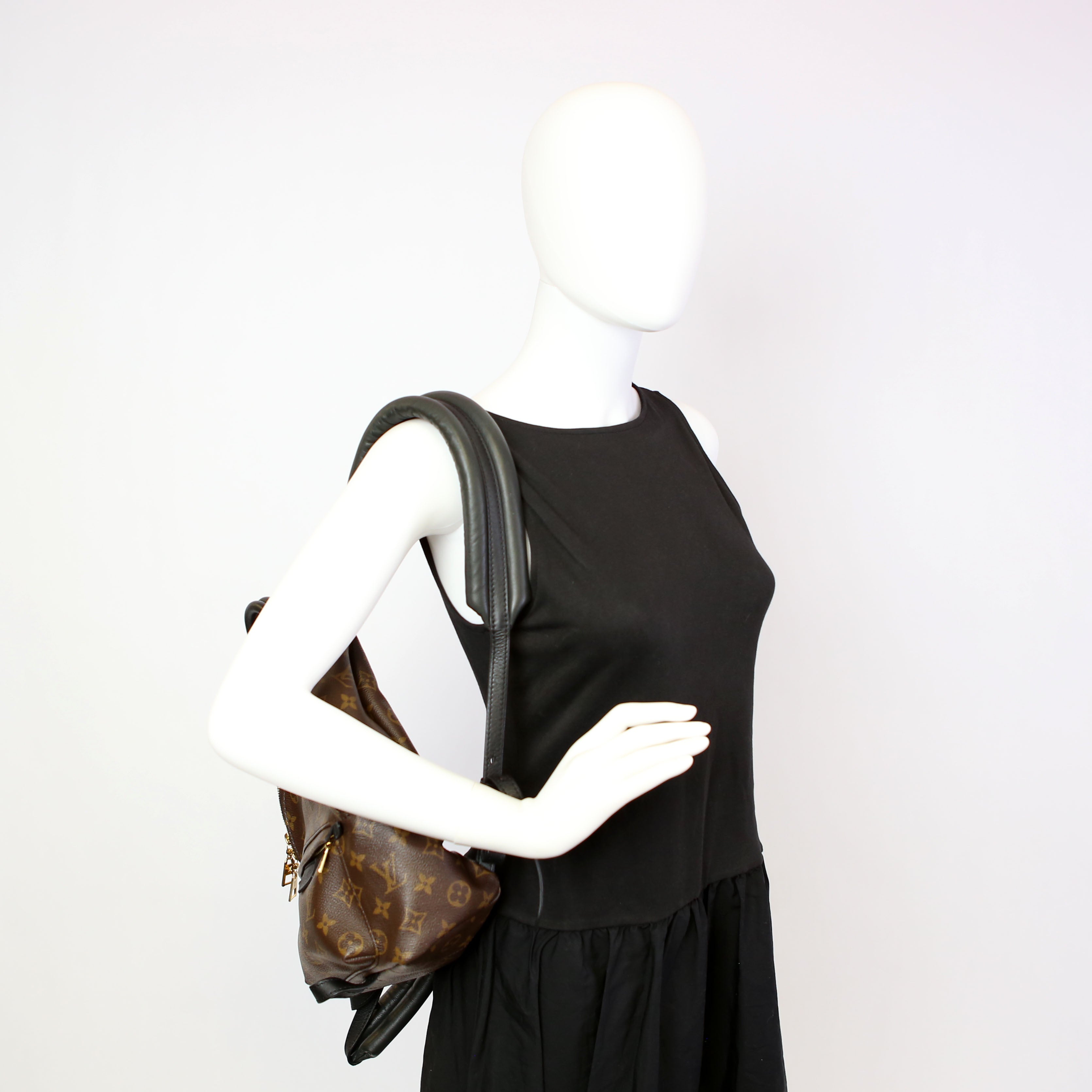 Palm Springs Backpack PM NM Monogram