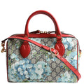 546314 Blooms Boston Small