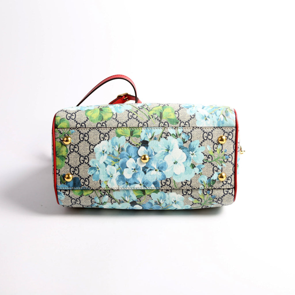 546314 Blooms Boston Small