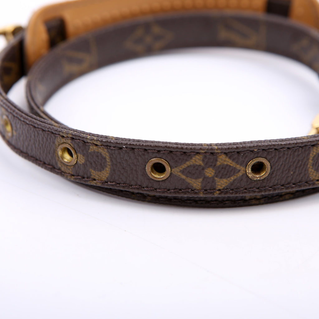 Monogram Canvas 20MM Strap