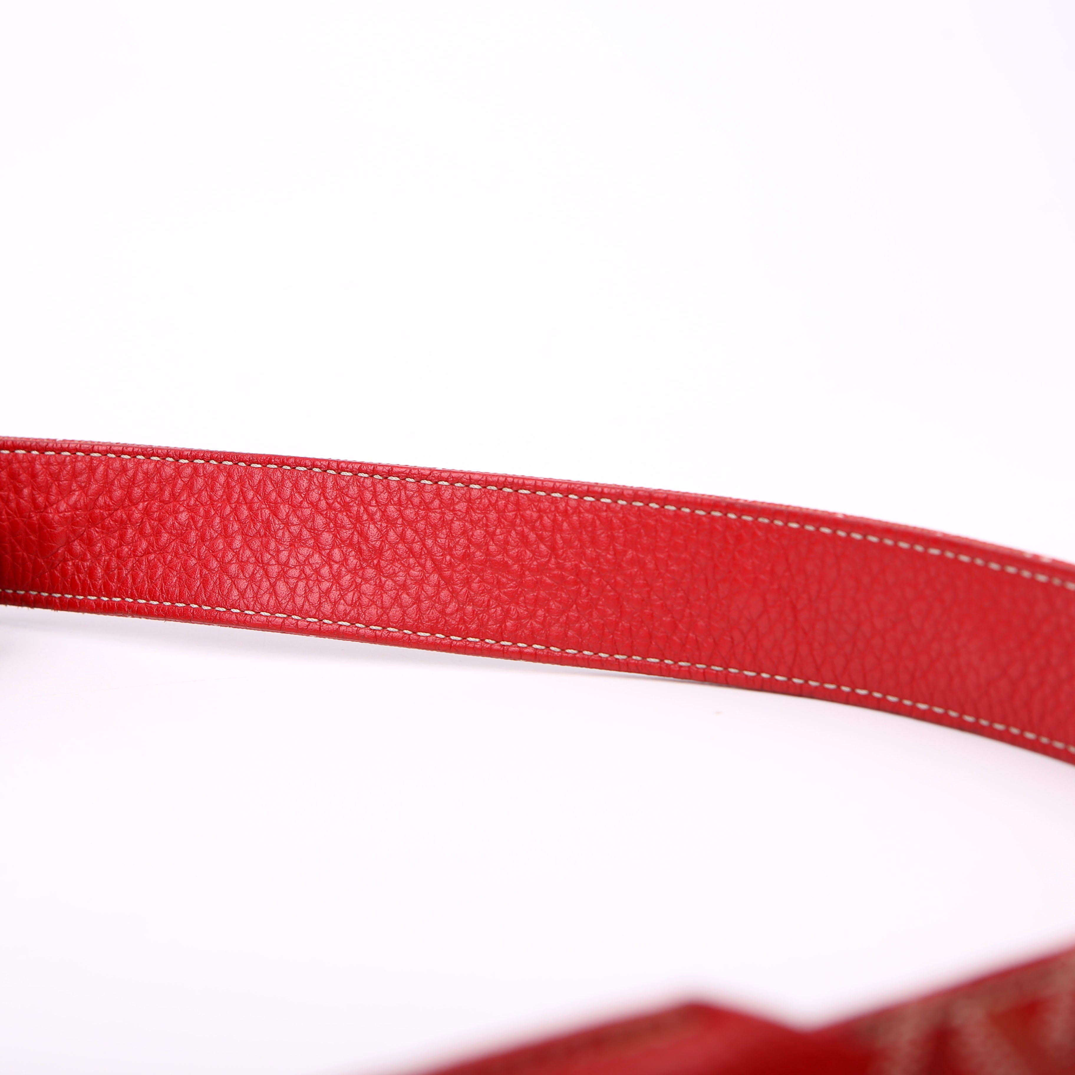 Grand Bleu MM Goyardine Red