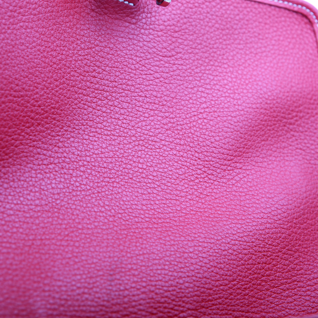 Grand Bleu MM Goyardine Red