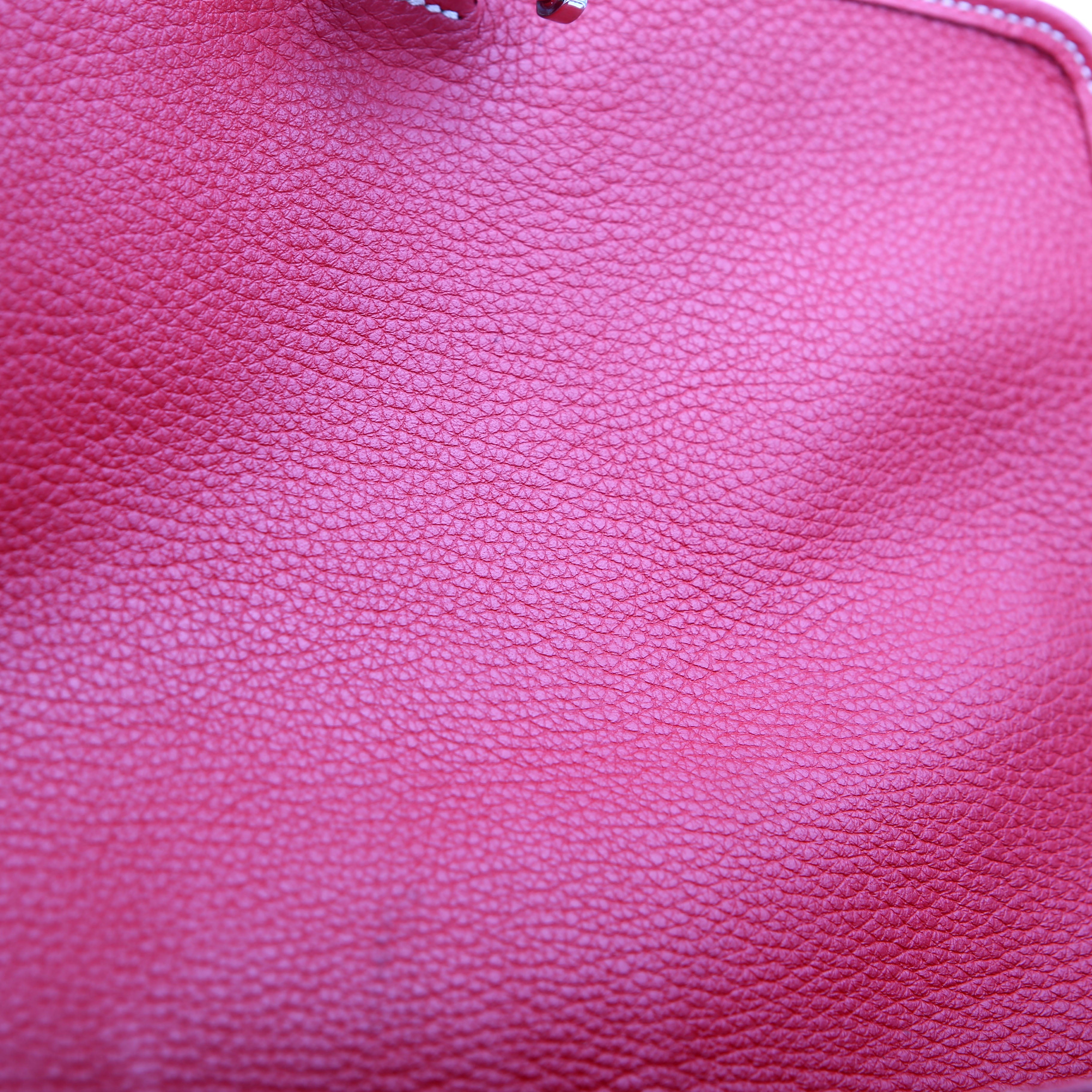 Grand Bleu MM Goyardine Red