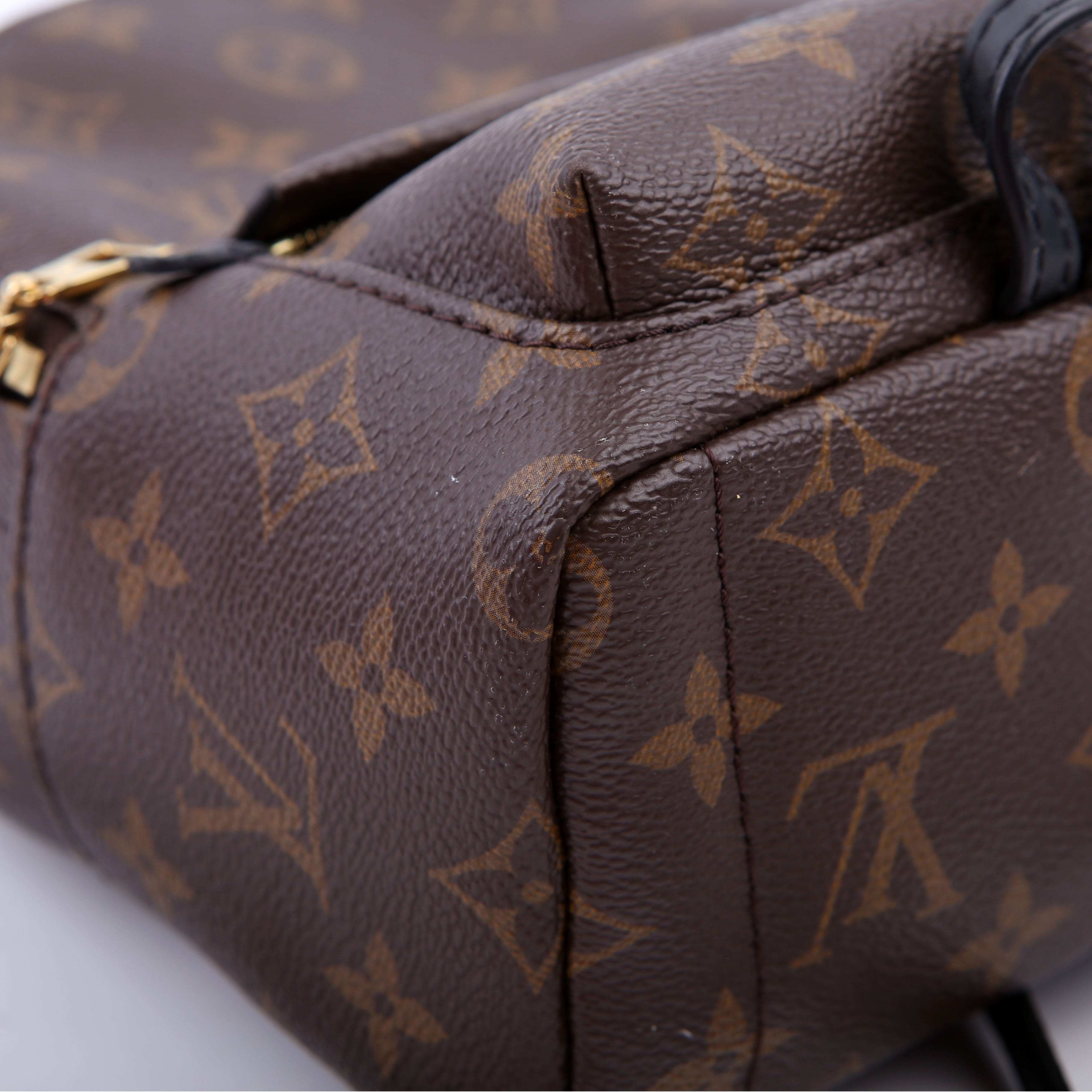 Palm Springs Mini Monogram Black
