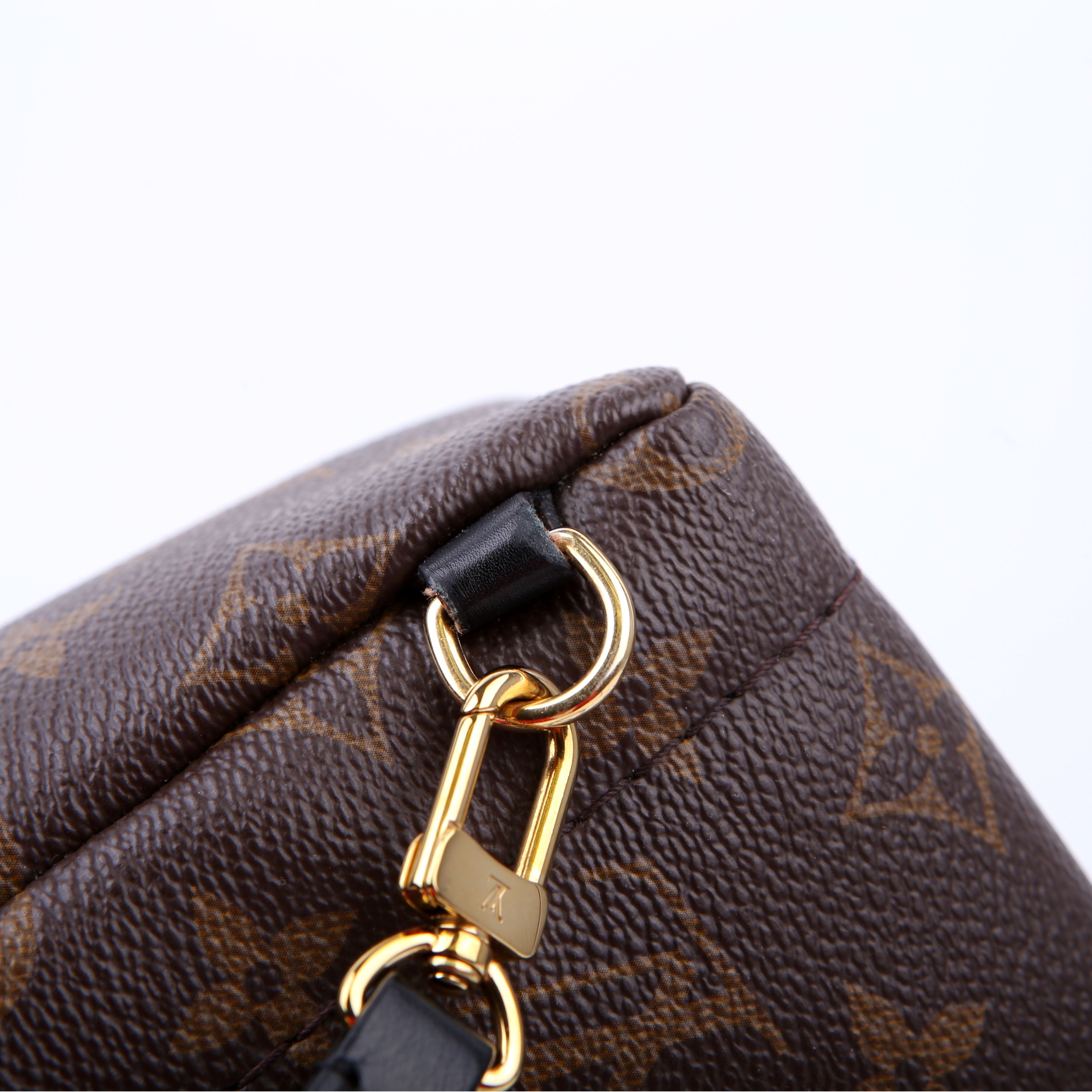 Palm Springs Mini Monogram Black