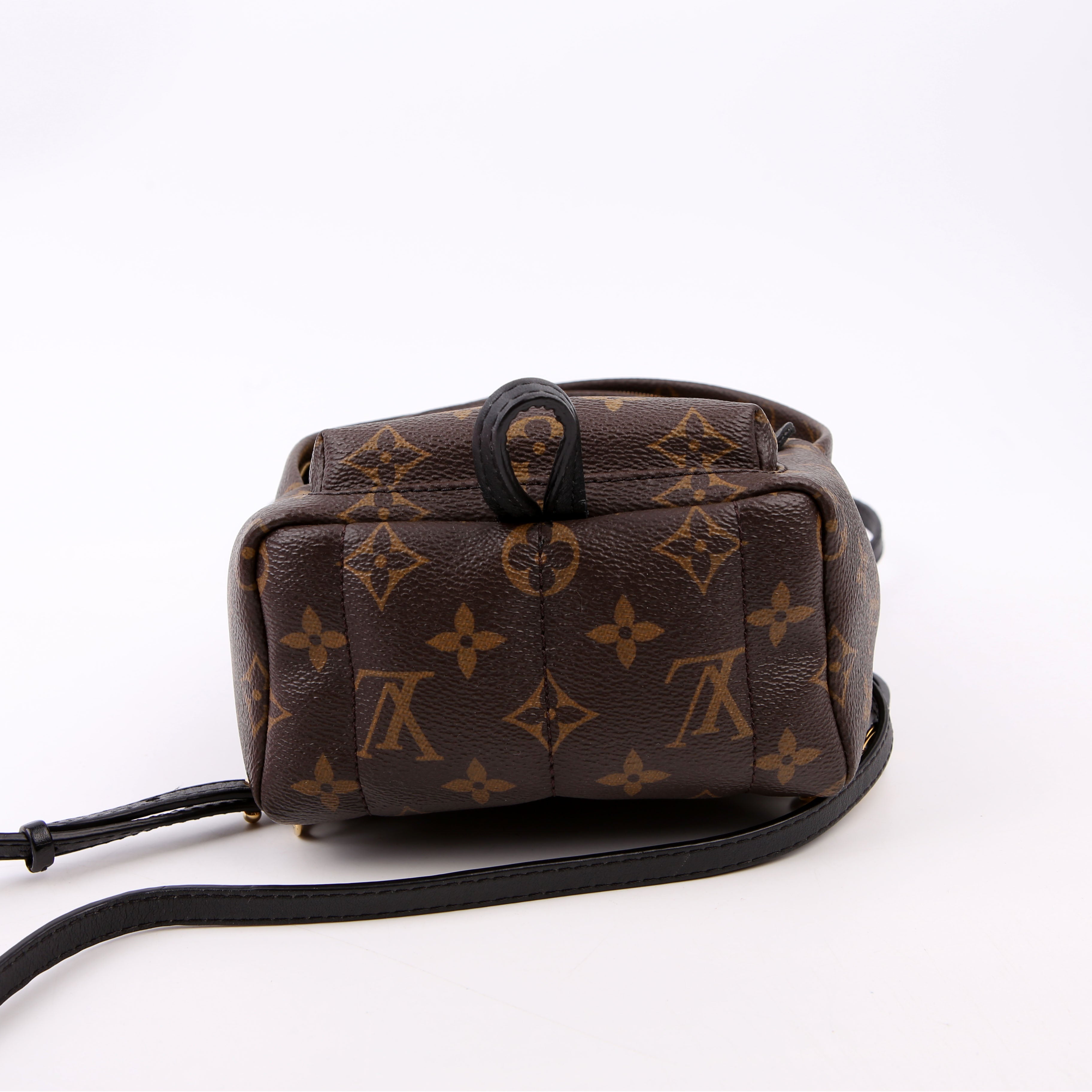 Palm Springs Mini Monogram