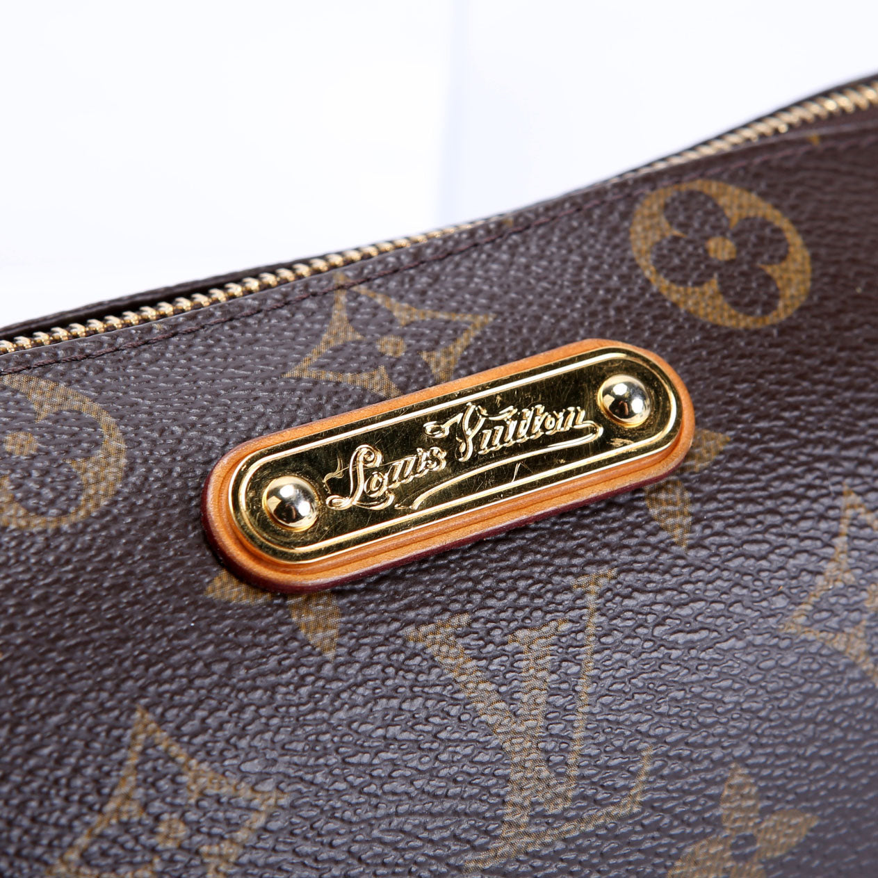 Eva Clutch Monogram