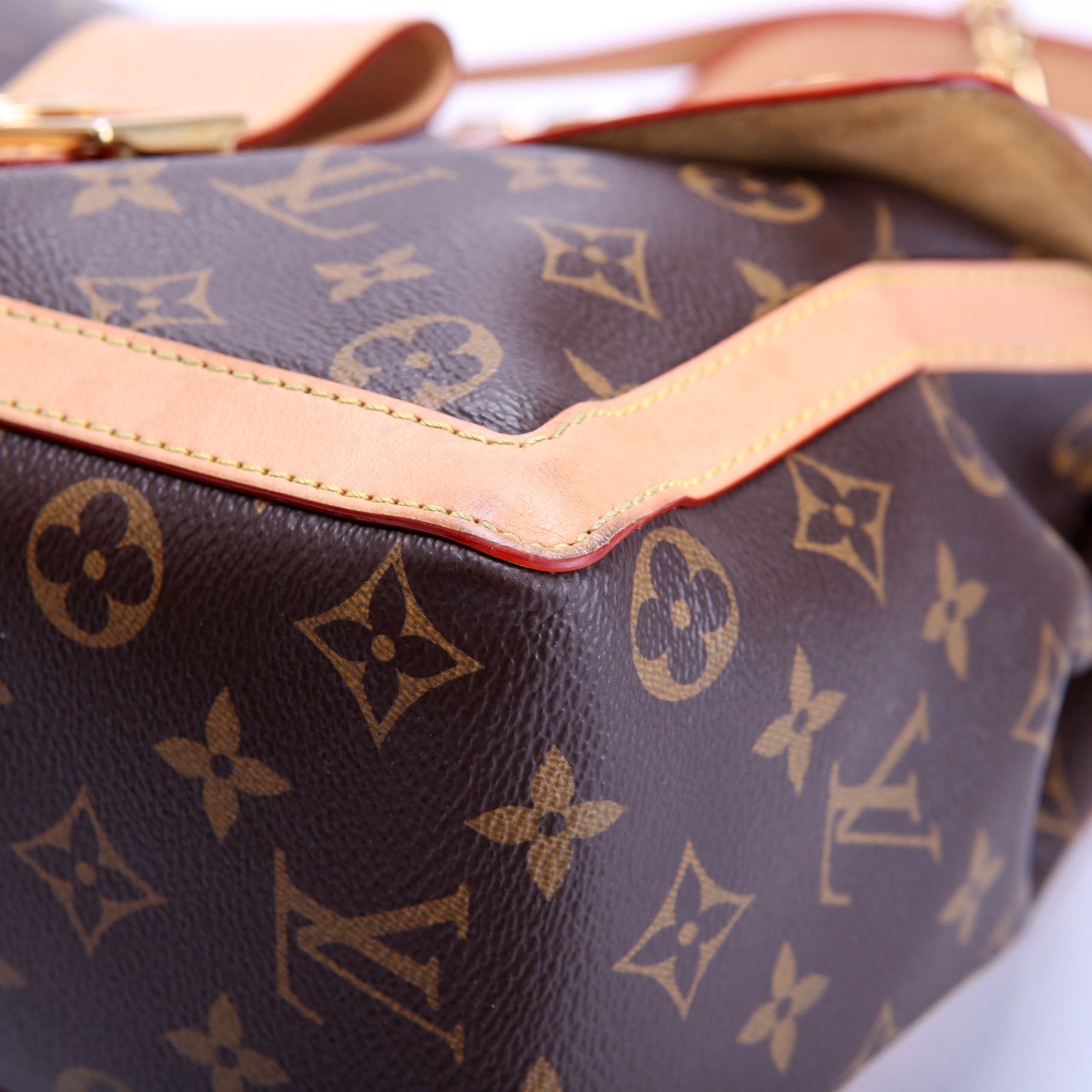 Dauphine Soft GM Monogram