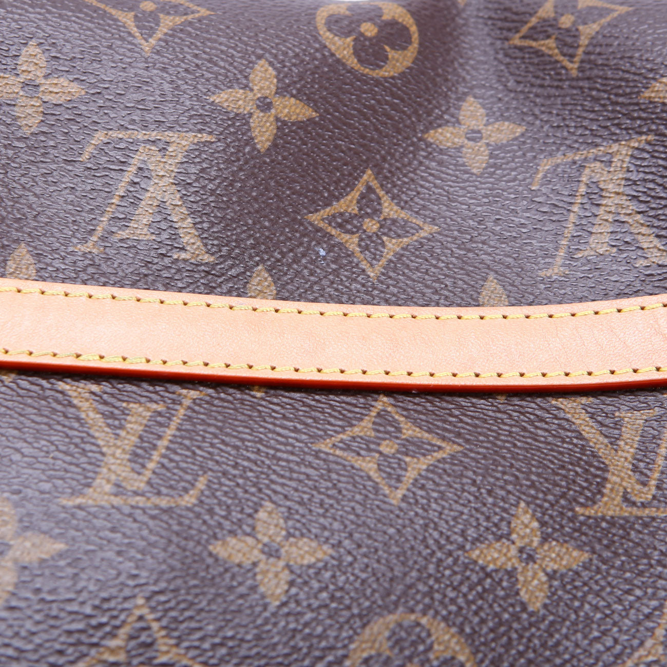 Dauphine Soft GM Monogram