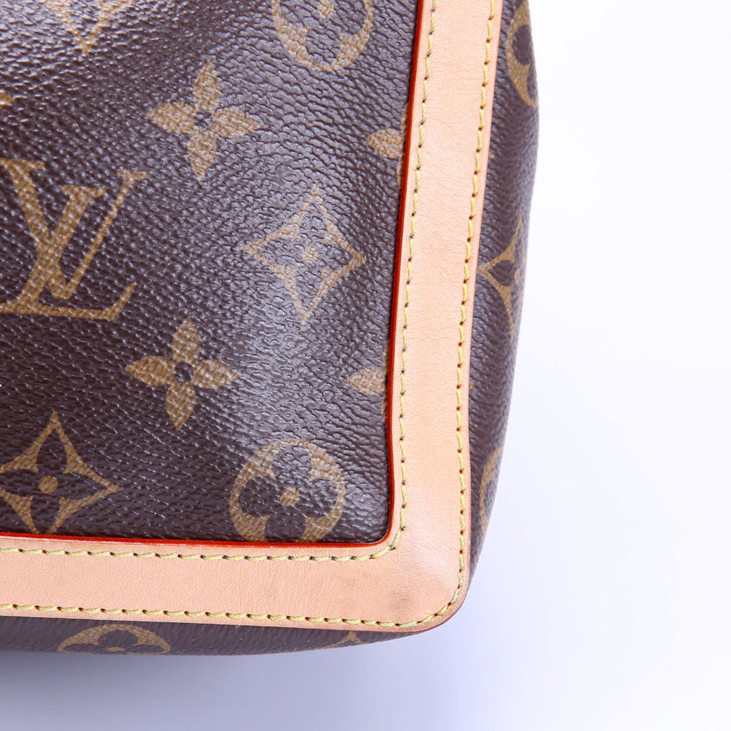 Dauphine Soft GM Monogram