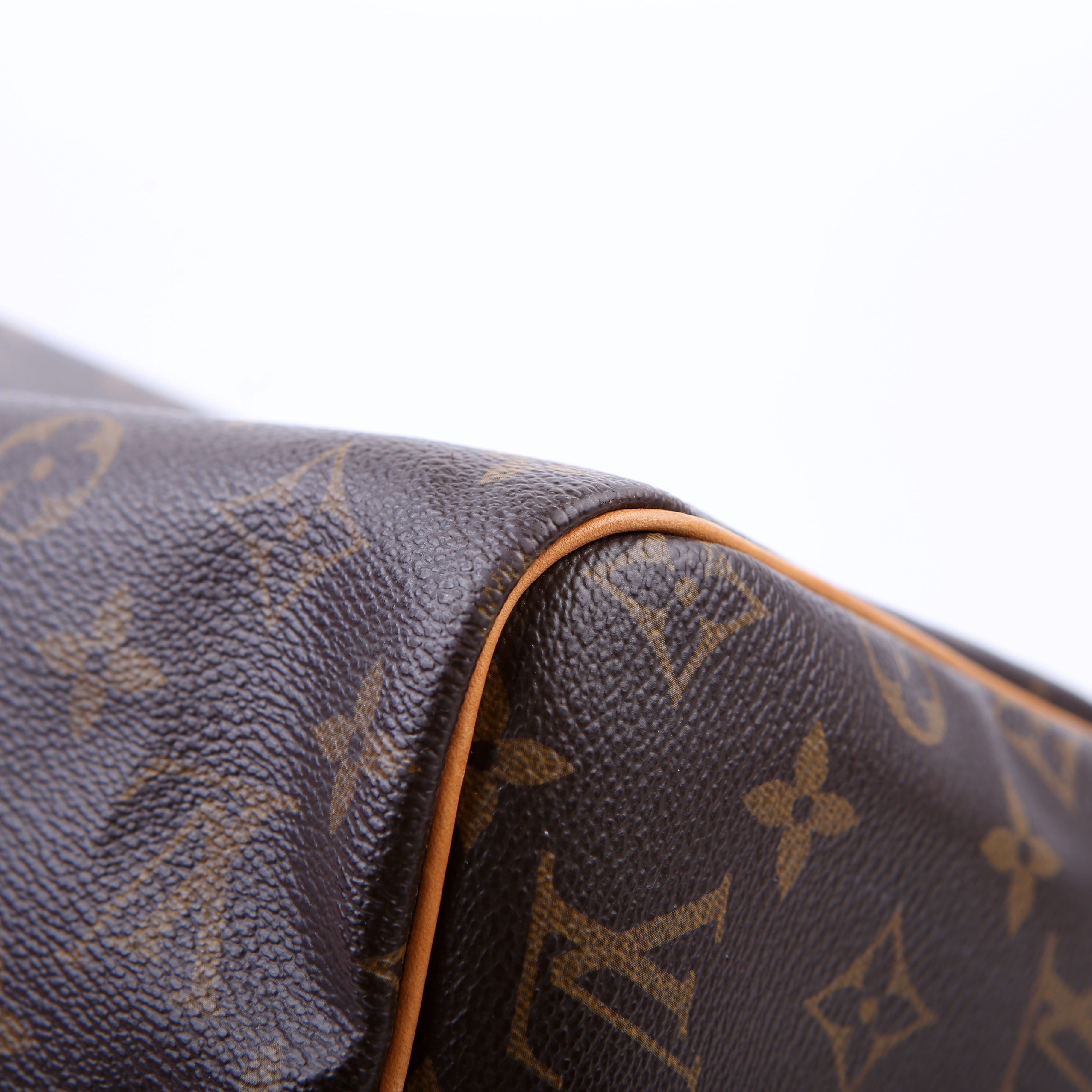 Speedy 30 Bandouliere Monogram