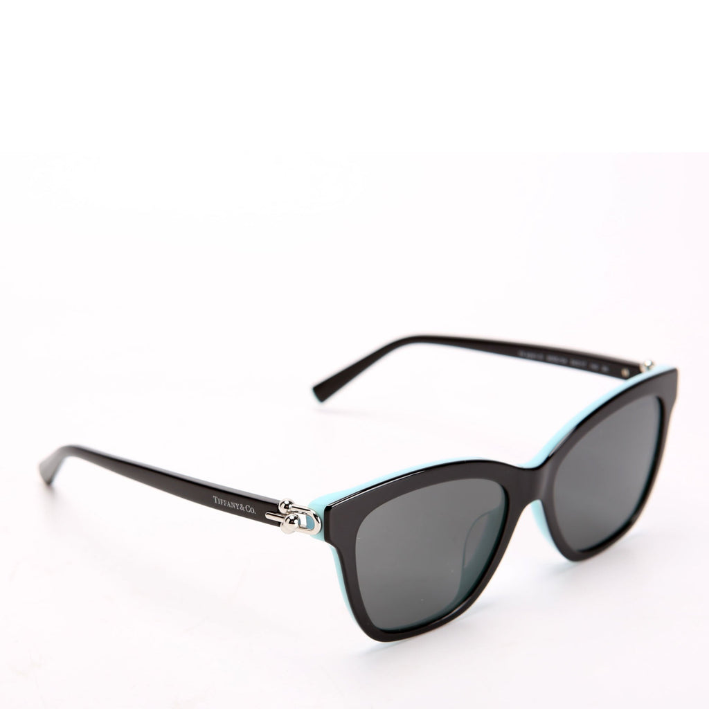 TF4241-D Square Sunglasses