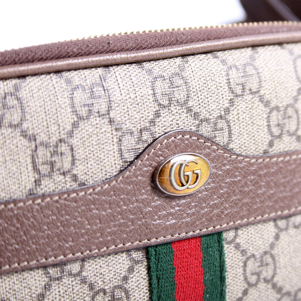 598664 GG Supreme Ophidia Mini Bag Brown