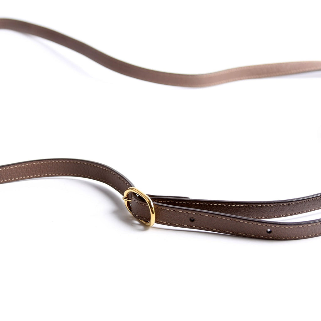 517350 GG Supreme Mini Ophidia Brown