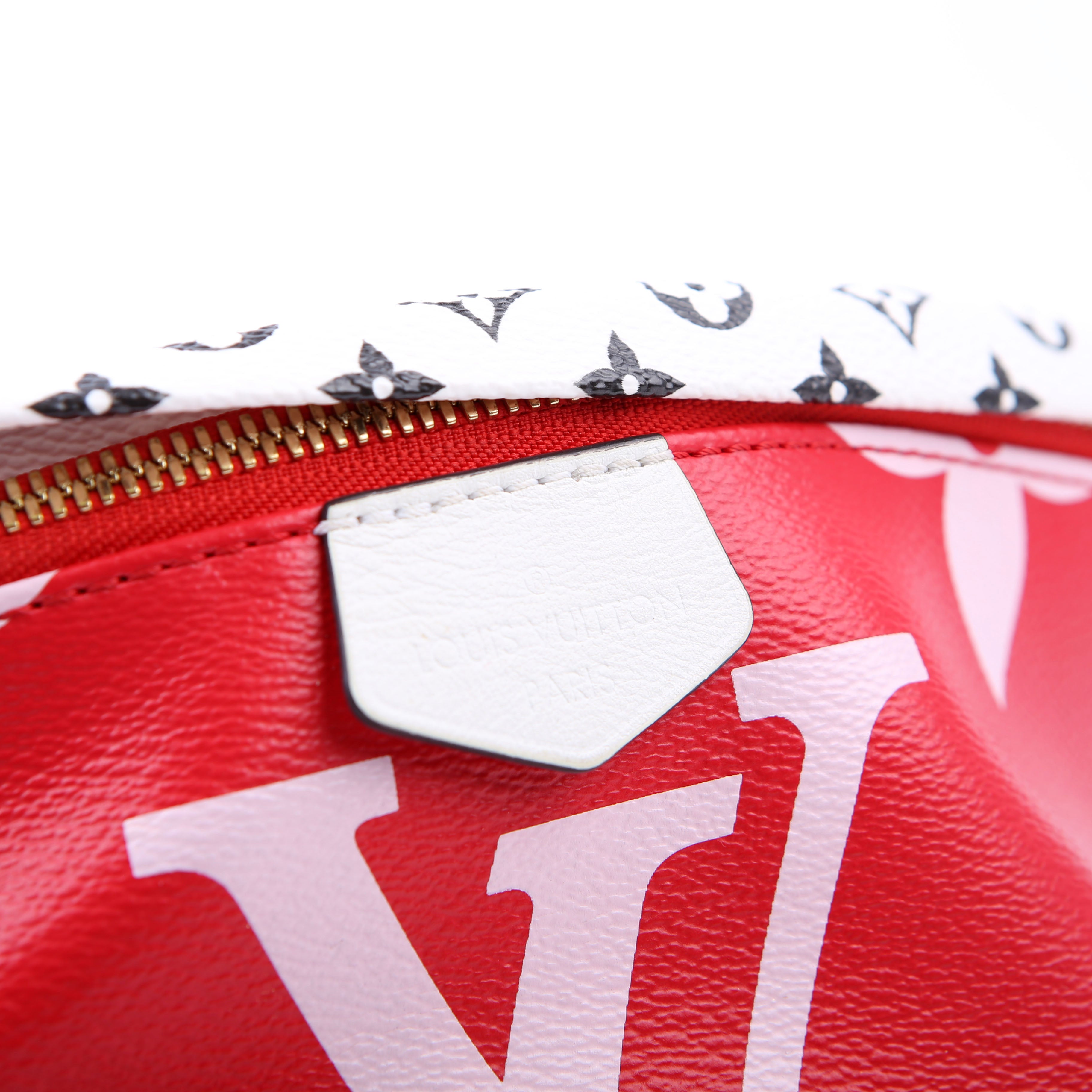 Bumbag Giant Monogram Red/Pink