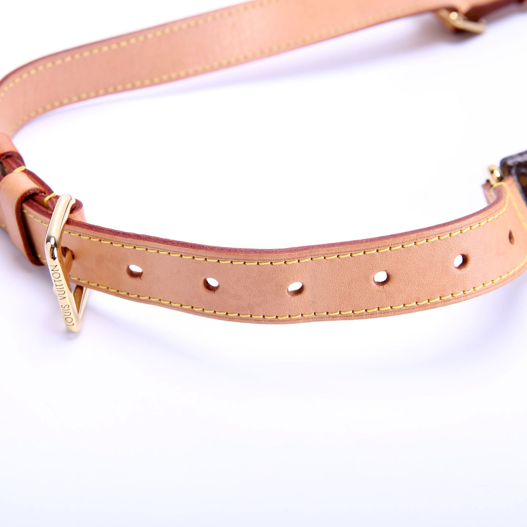 Bumbag Monogram
