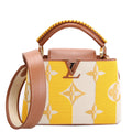 Capucines BB Parasol Taurillon/Canvas Brown/Yellow
