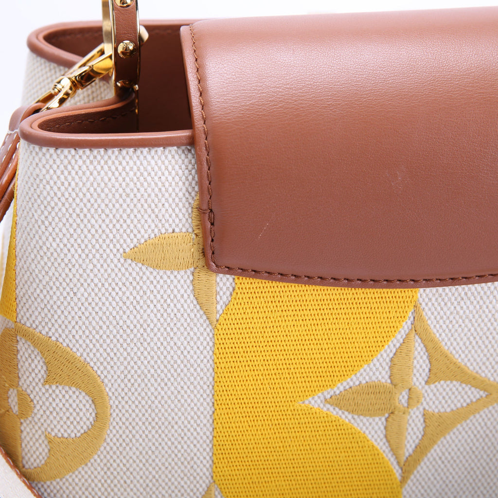 Capucines BB Parasol Taurillon/Canvas Brown/Yellow