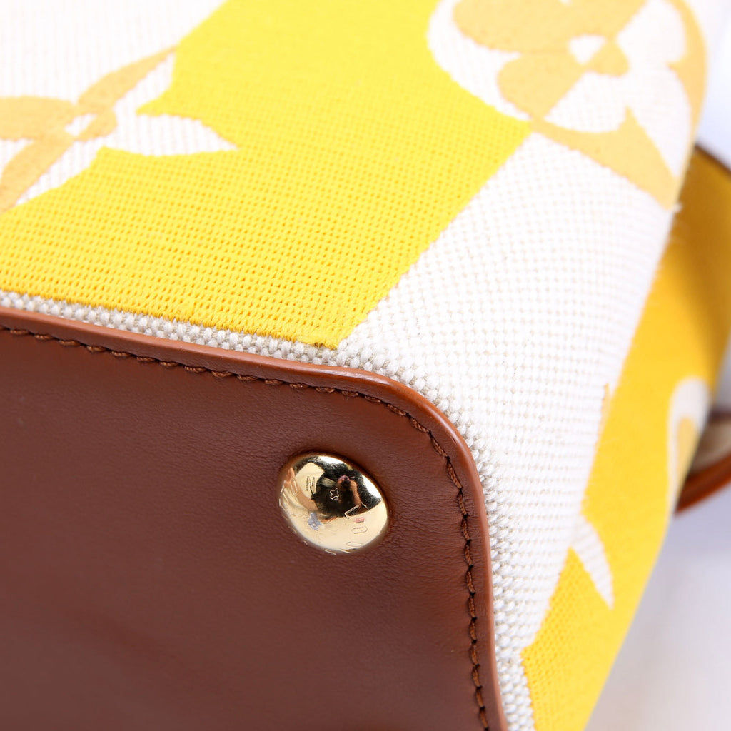 Capucines BB Parasol Taurillon/Canvas Brown/Yellow