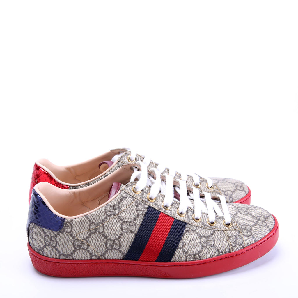 Ace Web Sneakers size 36 Red/Blue/Beige