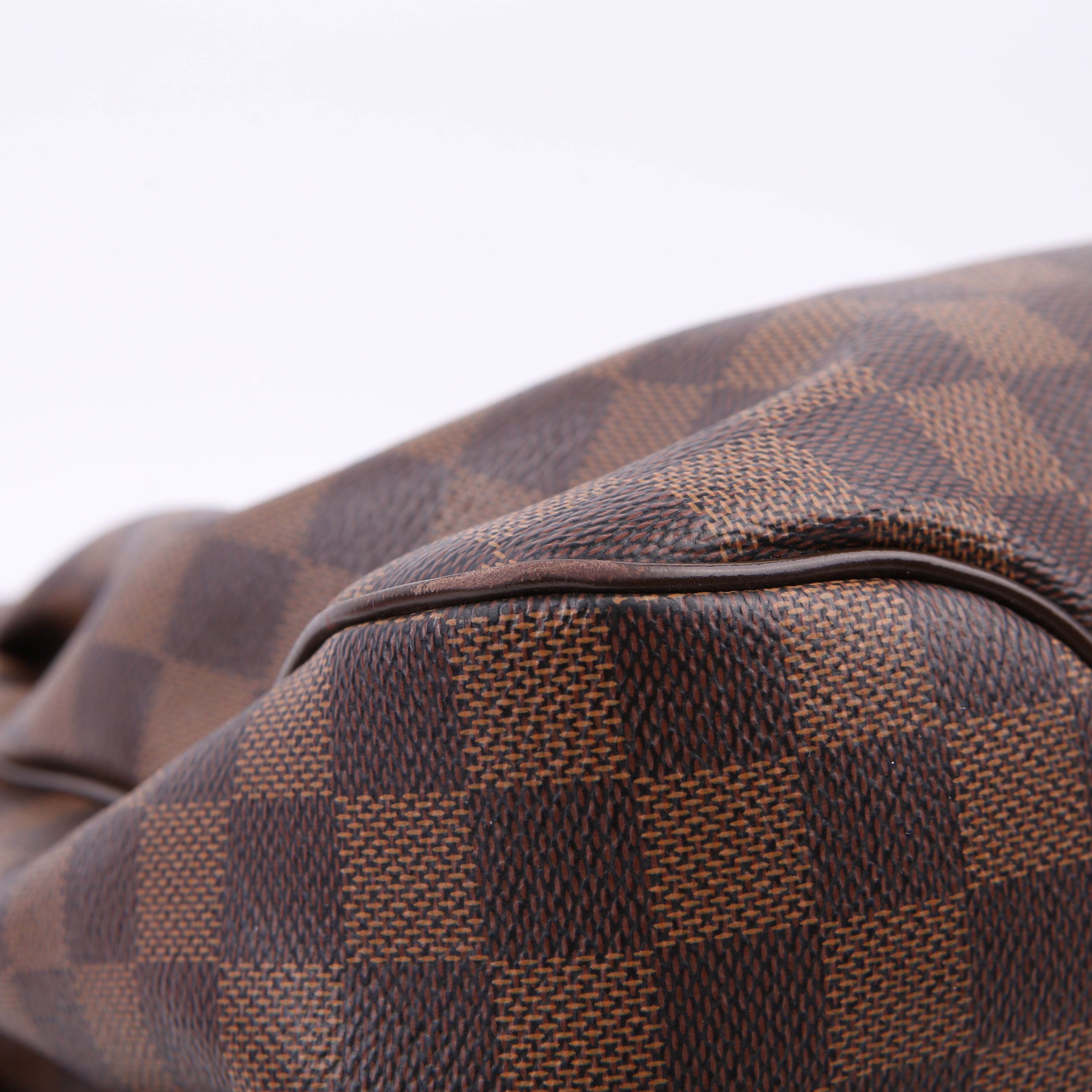 Reggia Hobo Damier Ebene