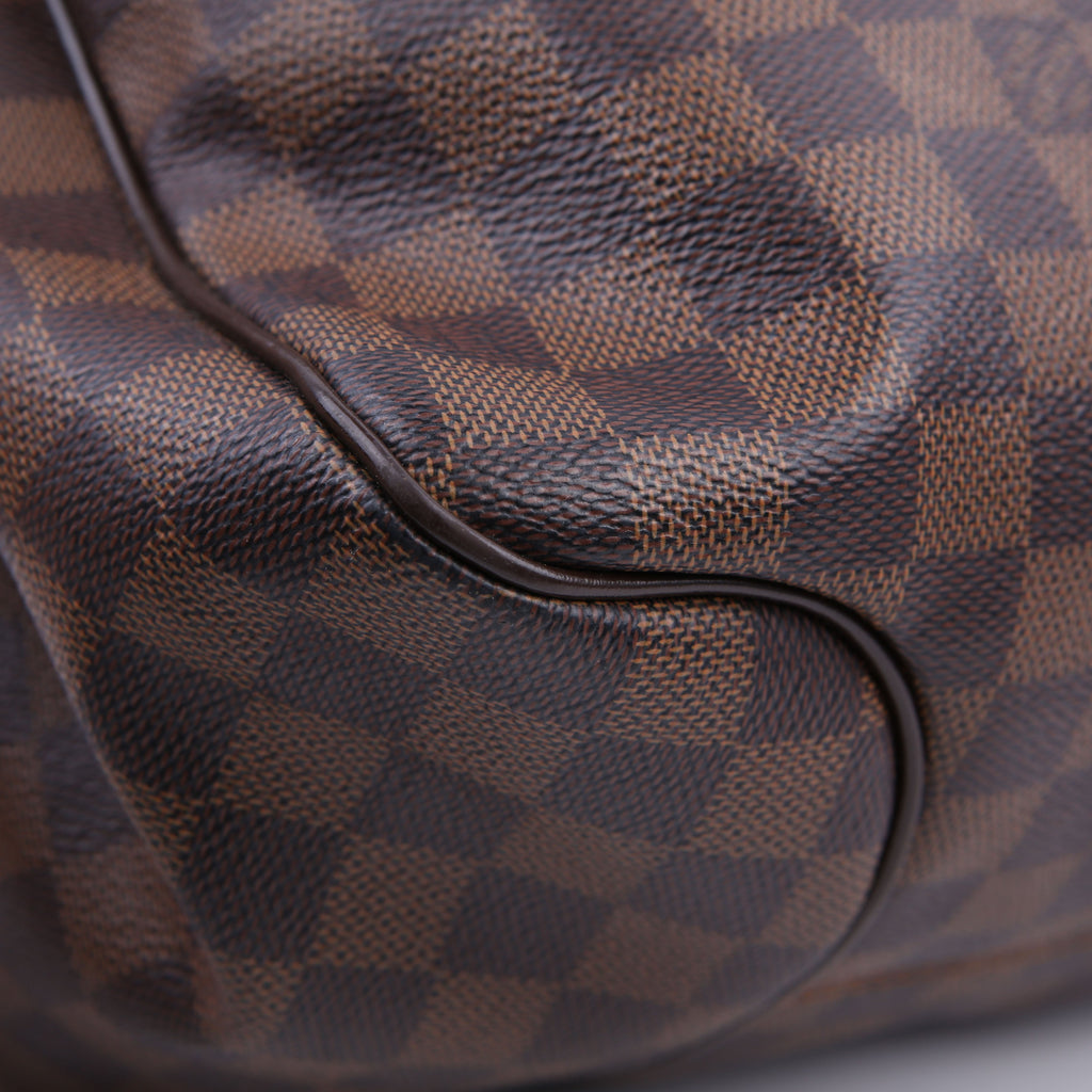 Reggia Hobo Damier Ebene