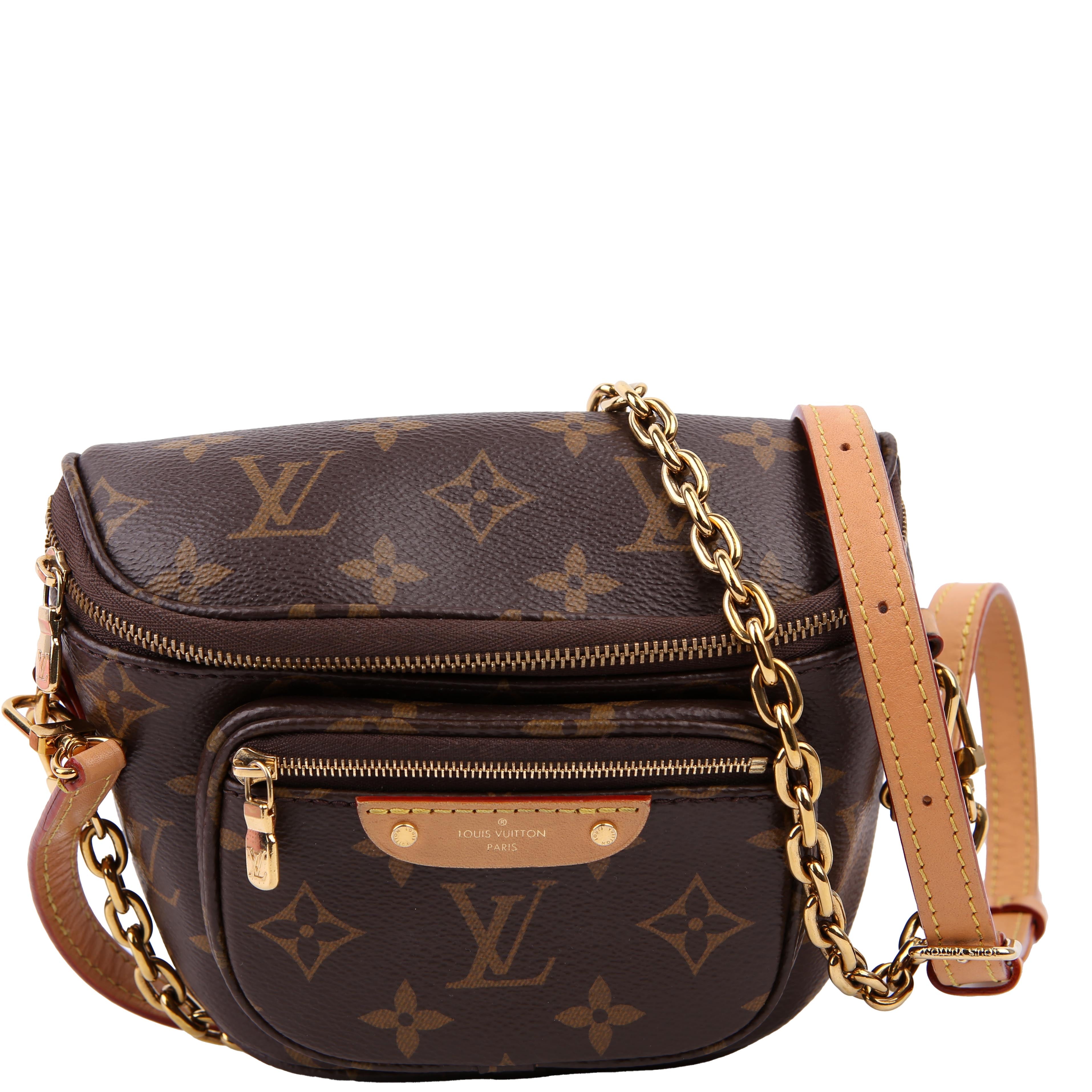 Mini Bumbag Monogram