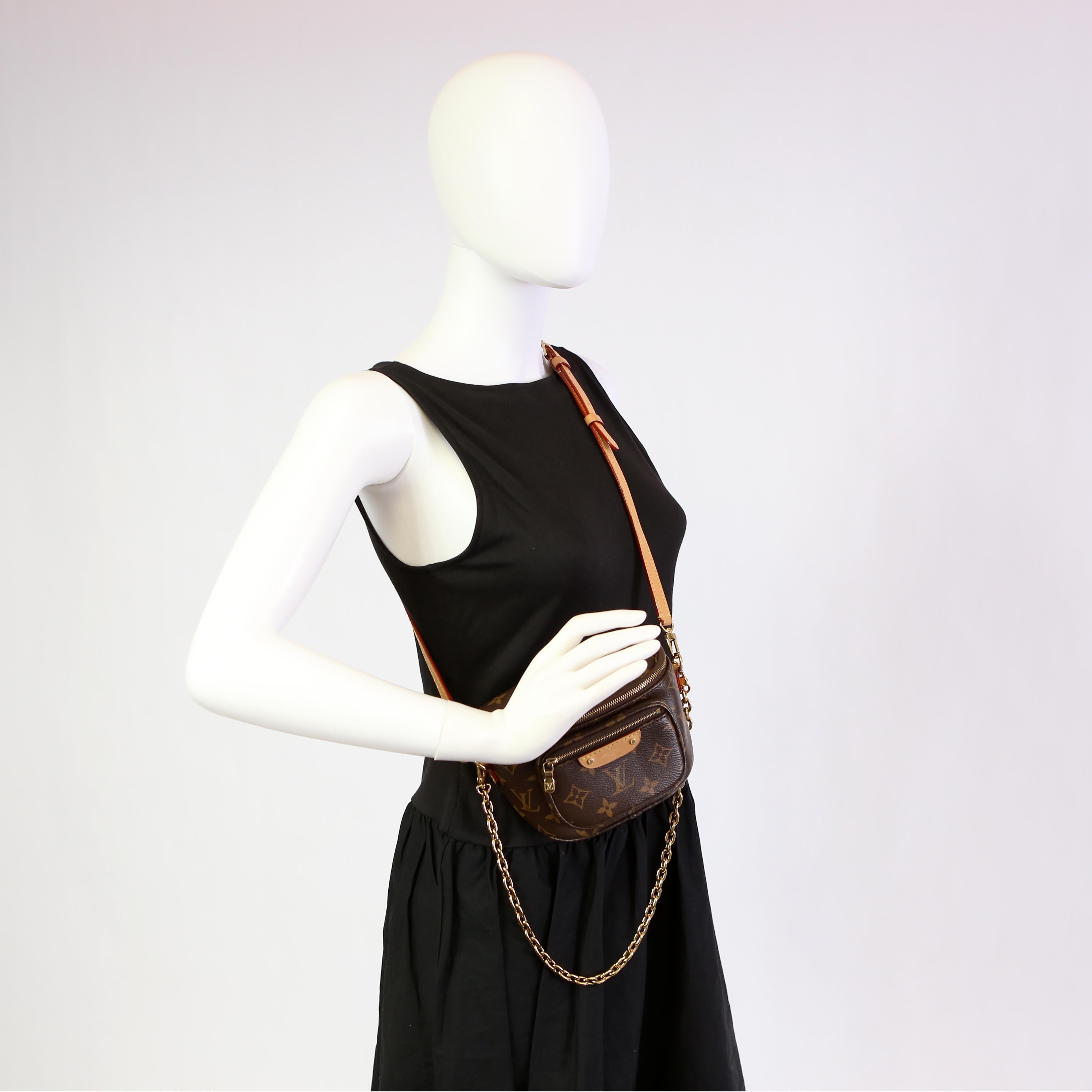 Mini Bumbag Monogram
