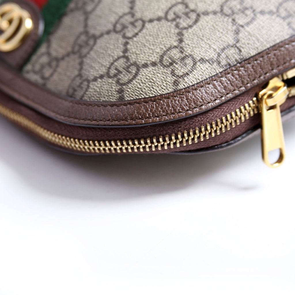 62551 Ophidia GG Supreme Large Cosmetic Case Brown