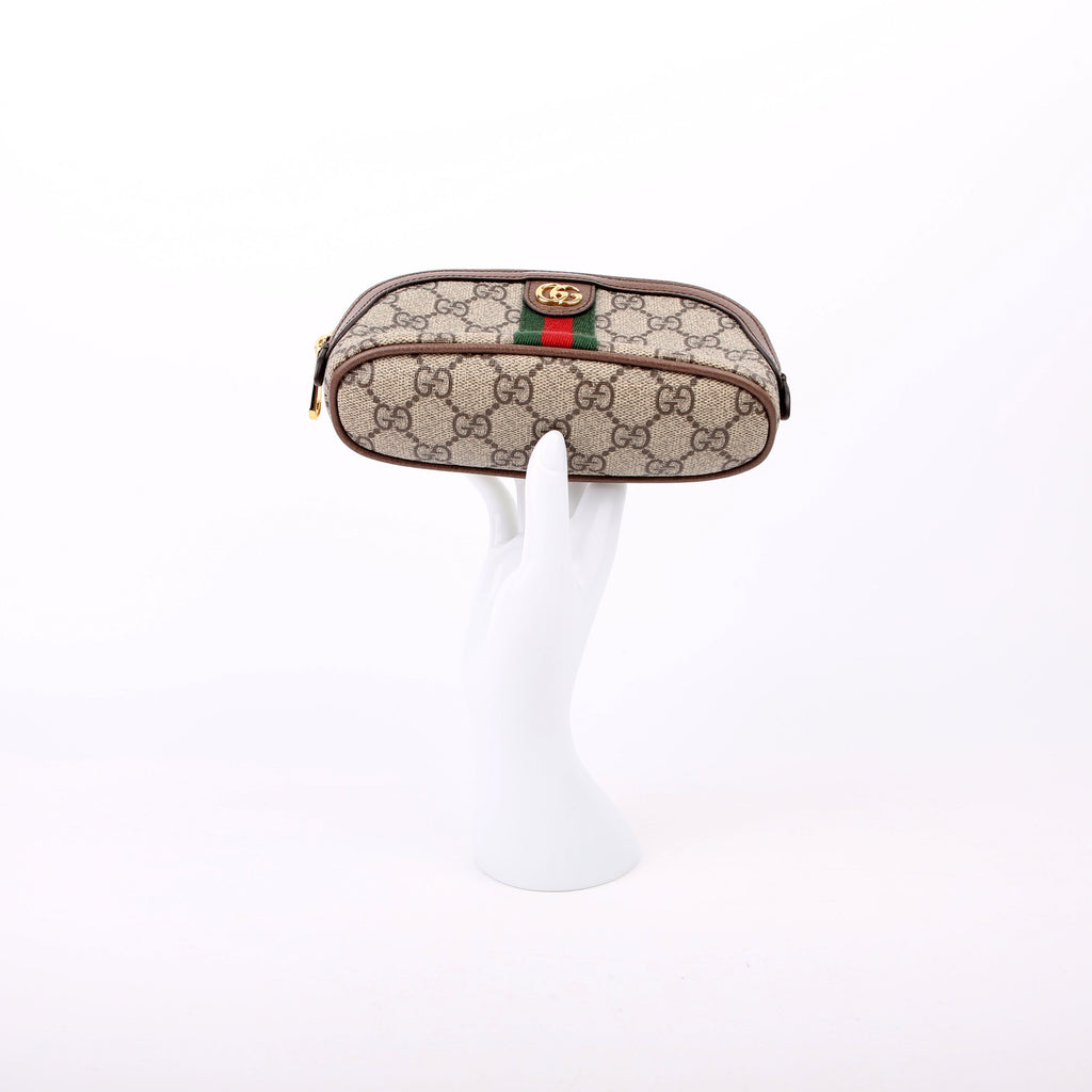 625550 Ophidia GG Supreme Medium Cosmetic Case