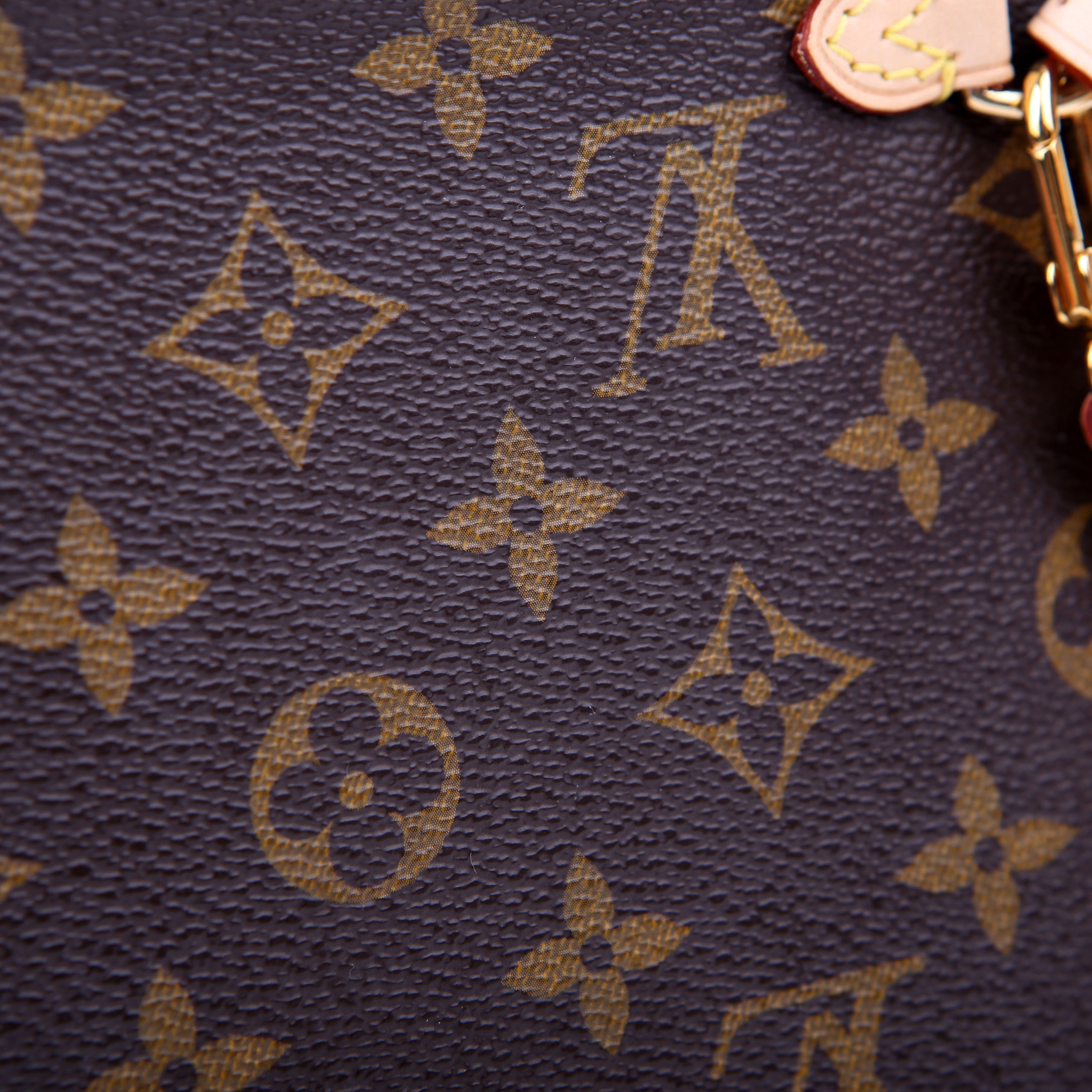 Pochette Only Monogram Neverfull