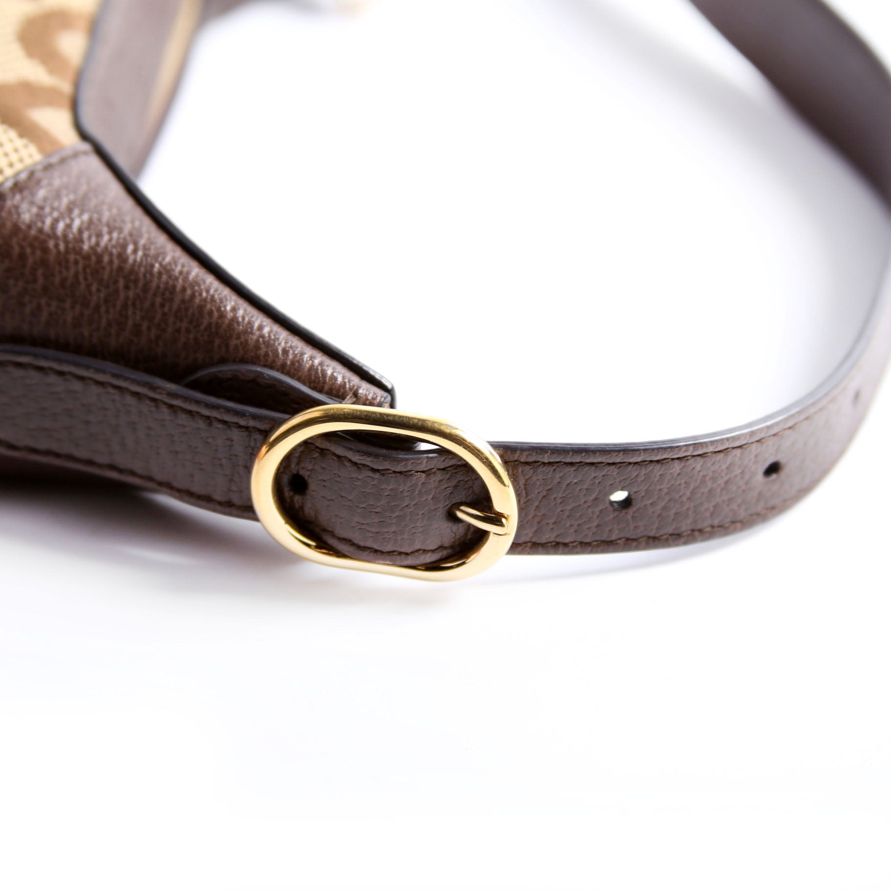 658551 Ophidia Jumbo GG Mini Brown