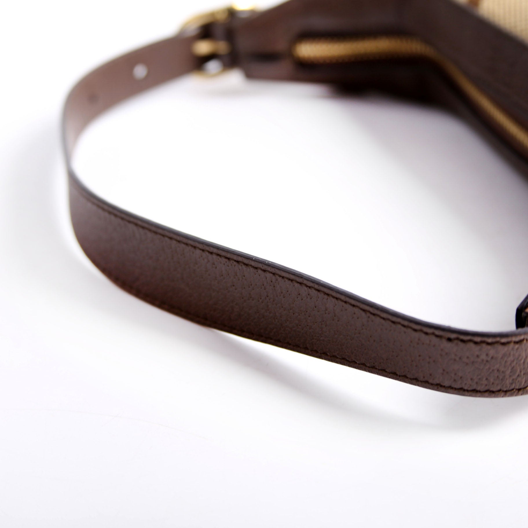 658551 Ophidia Jumbo GG Mini Brown