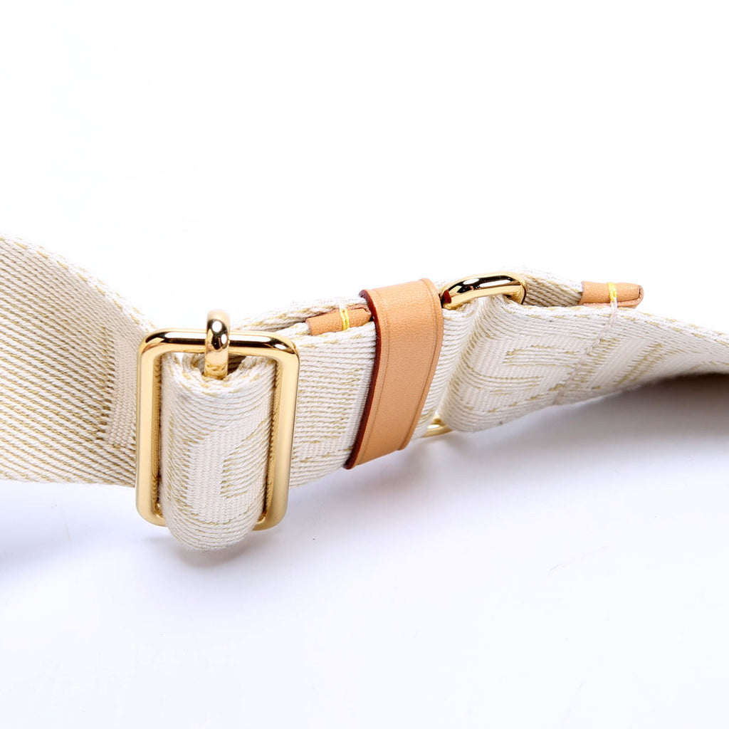 Coussin PM NV Lambskin Tan