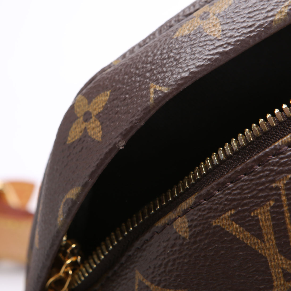 Bumbag Monogram 2021