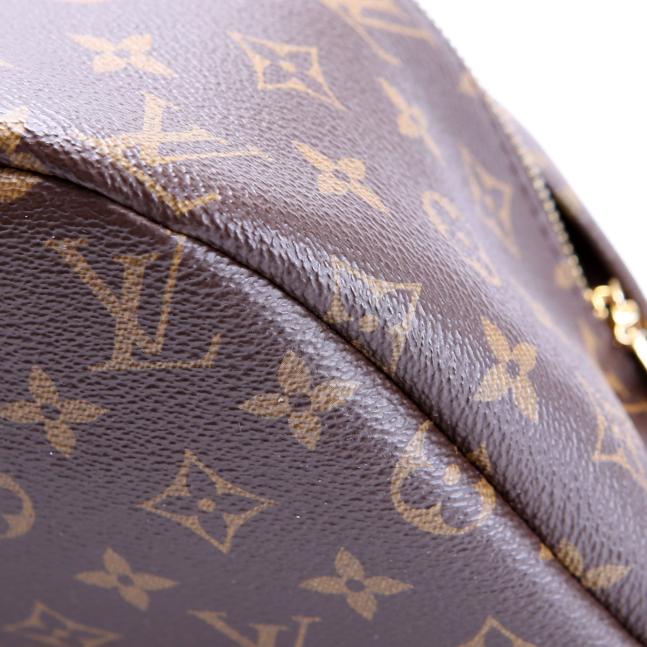 Bumbag Monogram 2021