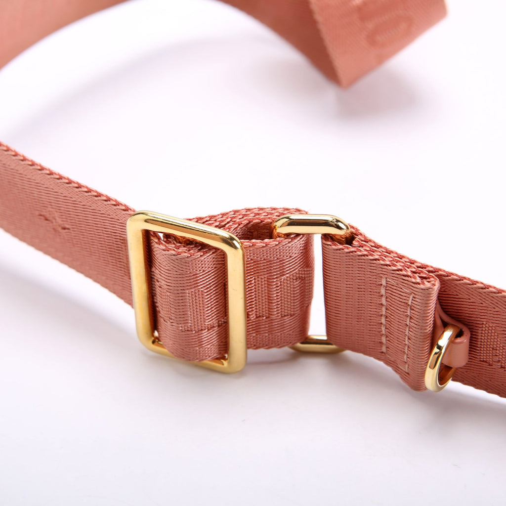 Petite Malle Souple Monogram