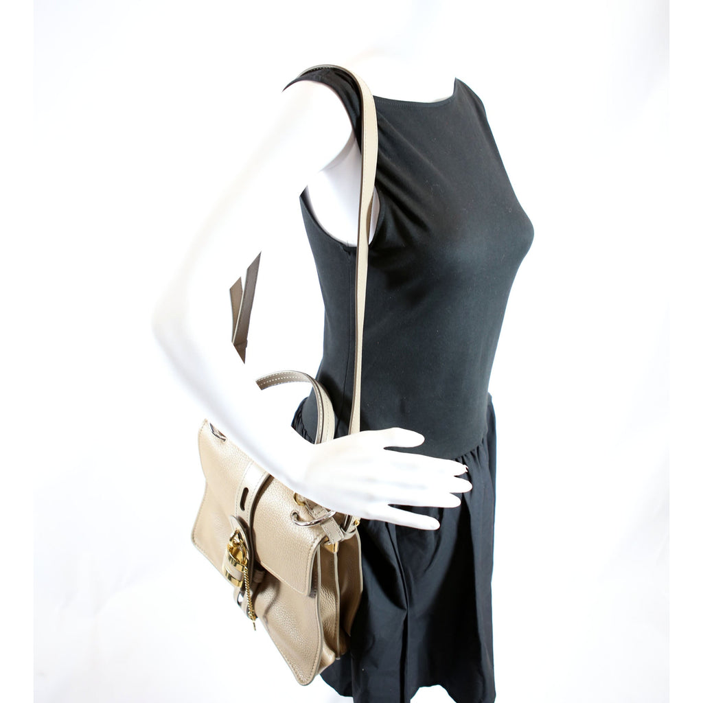Aby Day Medium Shoulder Bag Turtledove/Gold