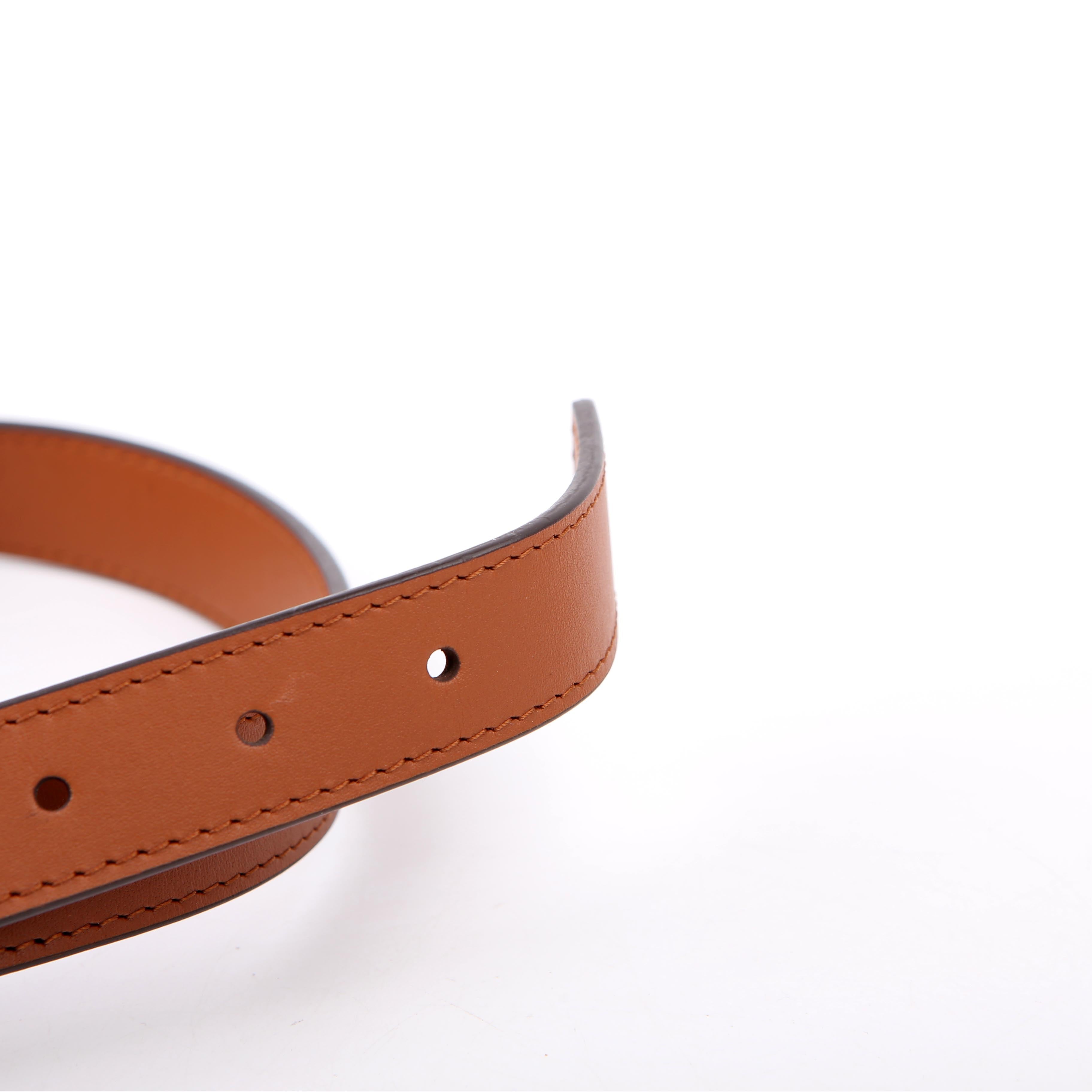Bumbag Dauphine BB Reverse Monogram