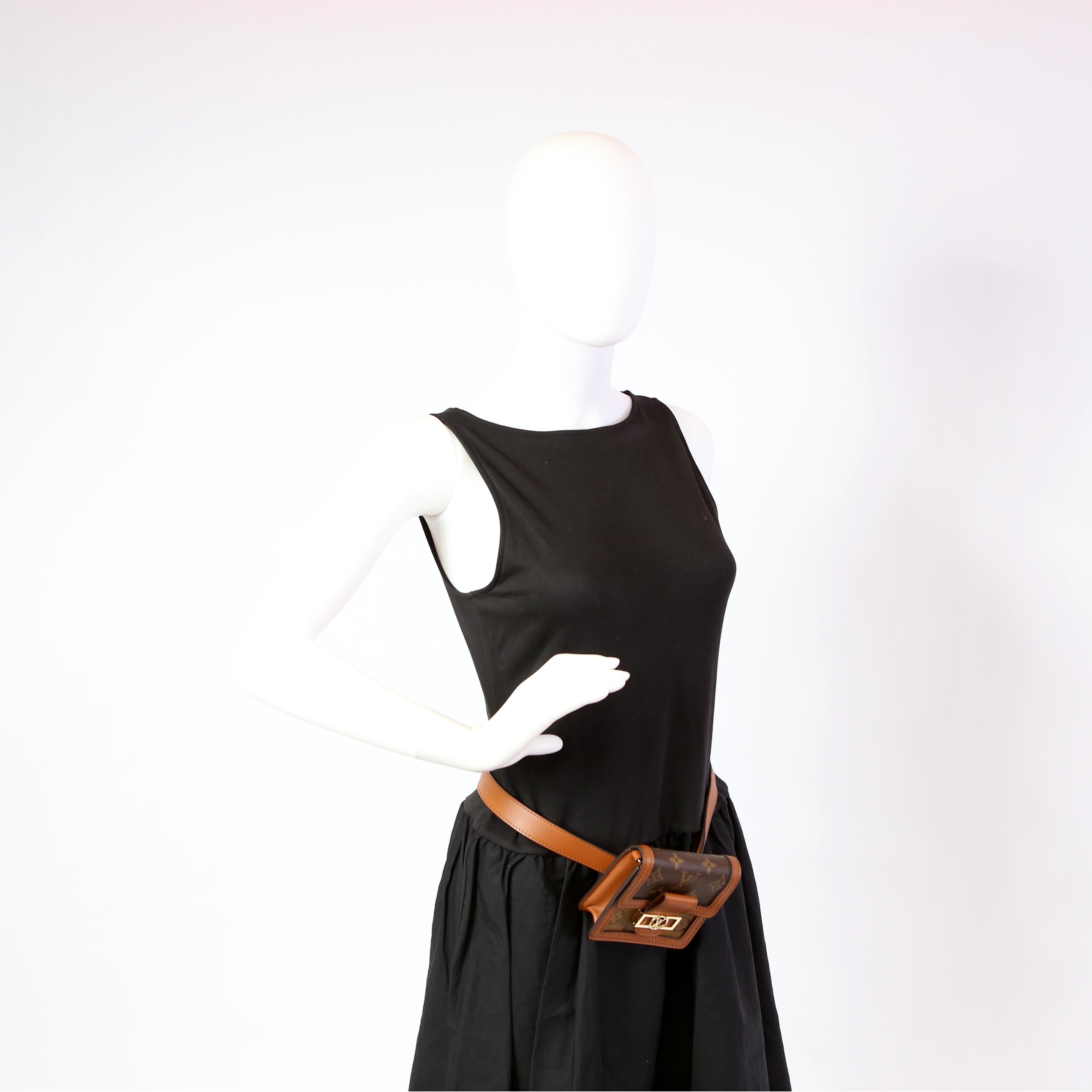 Bumbag Dauphine BB Reverse Monogram